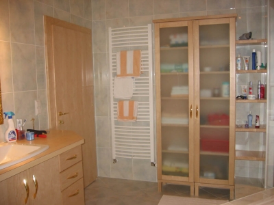 Allinger 2003.1.jpg